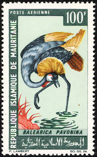Stamp