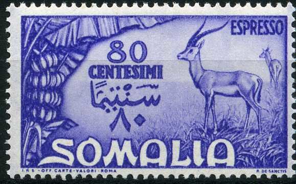 Stamp